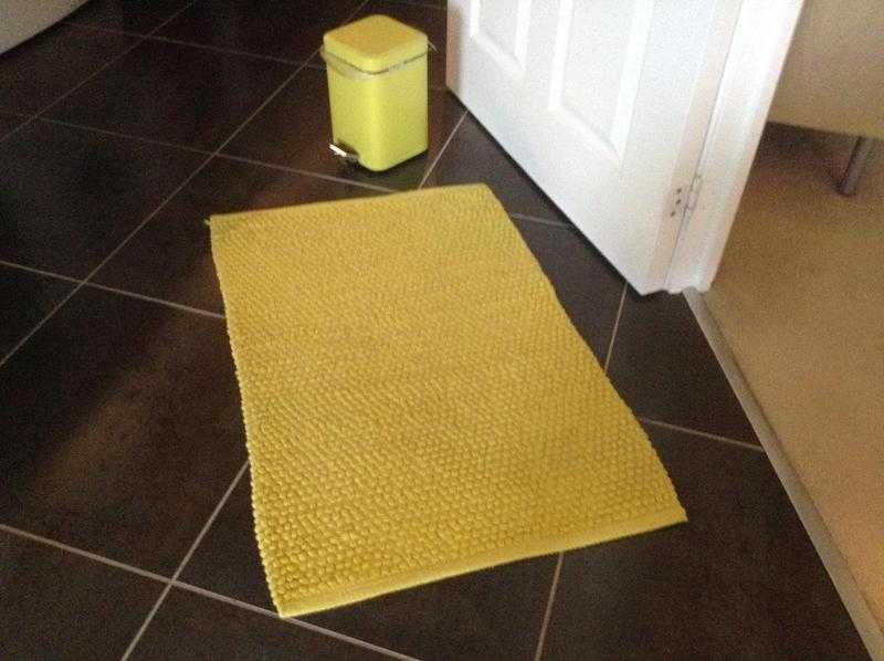 Bathroom rugs and small bin