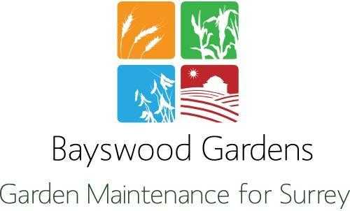 Bayswood Gardens - Garden Maintenance Through The Seasons