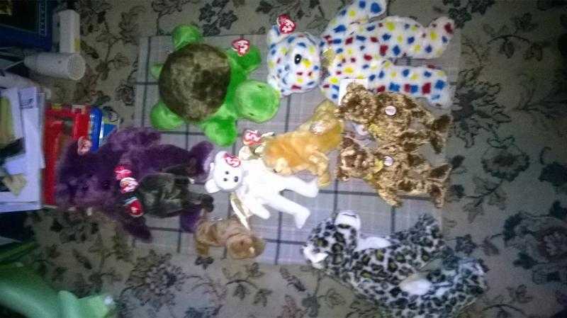 Beanie Babies, Beany toys Bargain 1 each