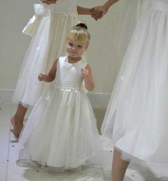 Beautiful butterfly bridesmaid dresses, with pouch bag