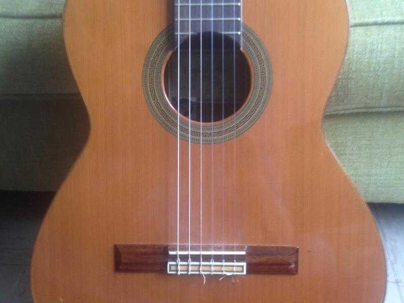 Beautiful Cedar topped classical guitar