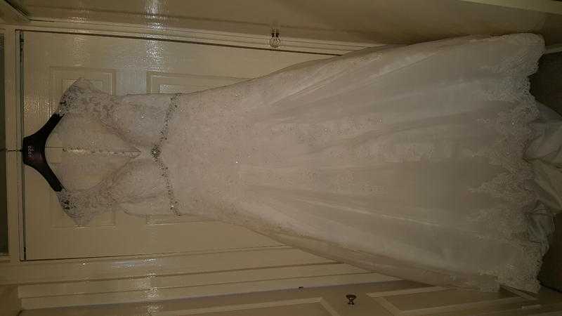 Beautiful elegant wedding gown and veil