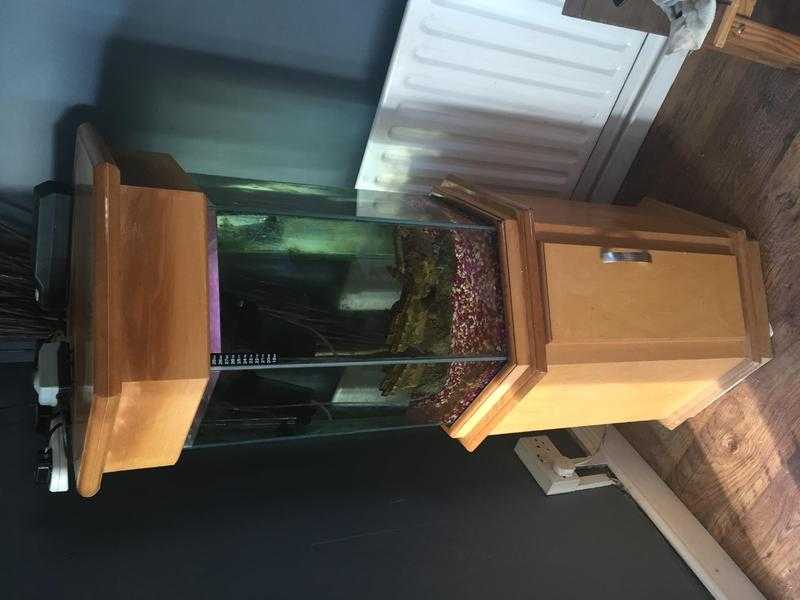 Beautiful fish tank made out of coffin wood 50 p shape