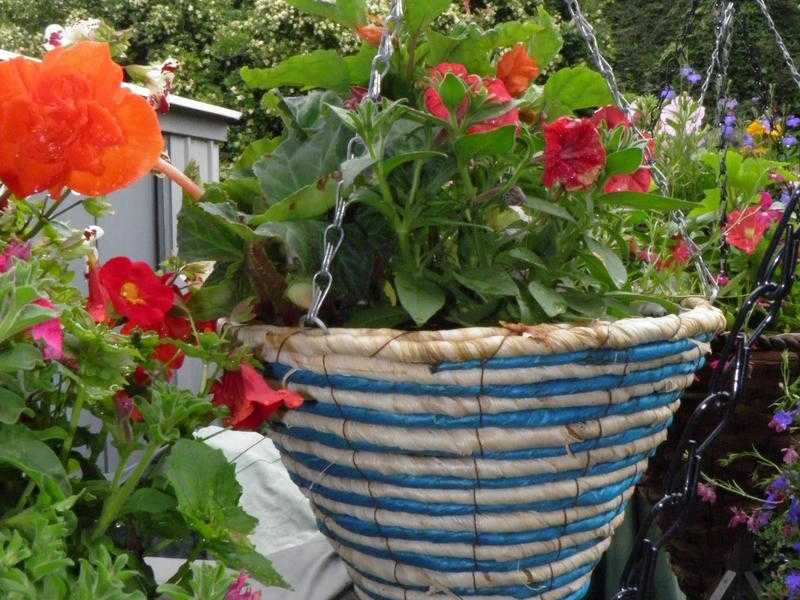 Beautiful Hanging Baskets, Planters and Pots