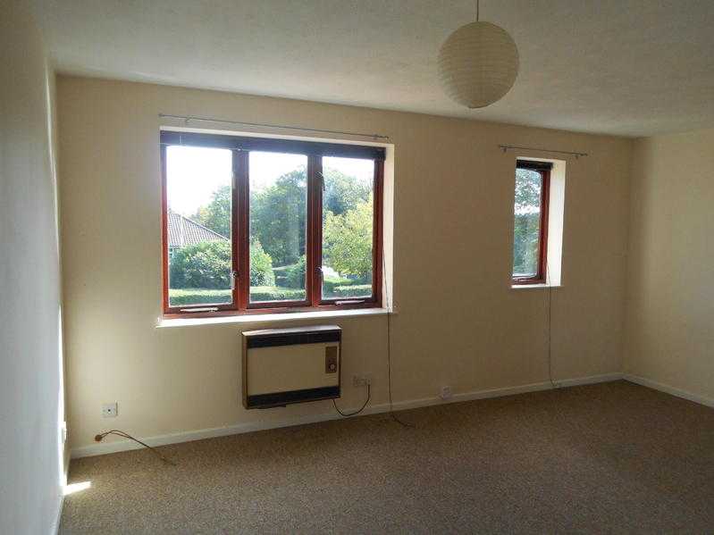 BEAUTIFUL Studio Flat at Haywards Heath