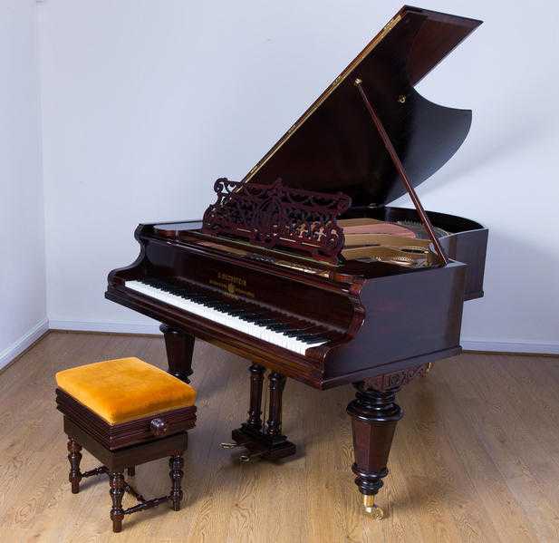 Bechstein Grand Piano Model V