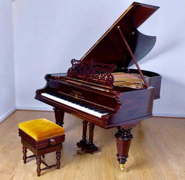 Bechstein Grand Piano Model V