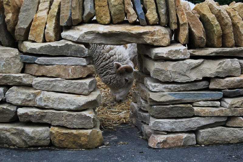 Bedfordshire Dry Stone Walling Workshop