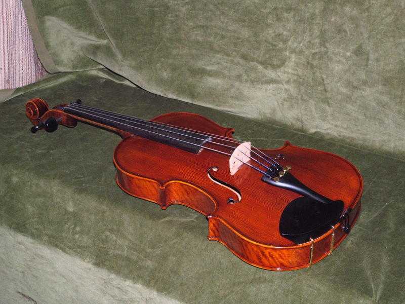 Beginers Violin