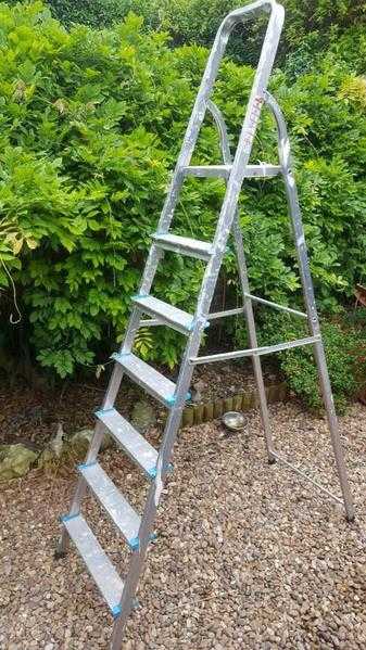 Beldray 6 step ladder max weight 95 kgs