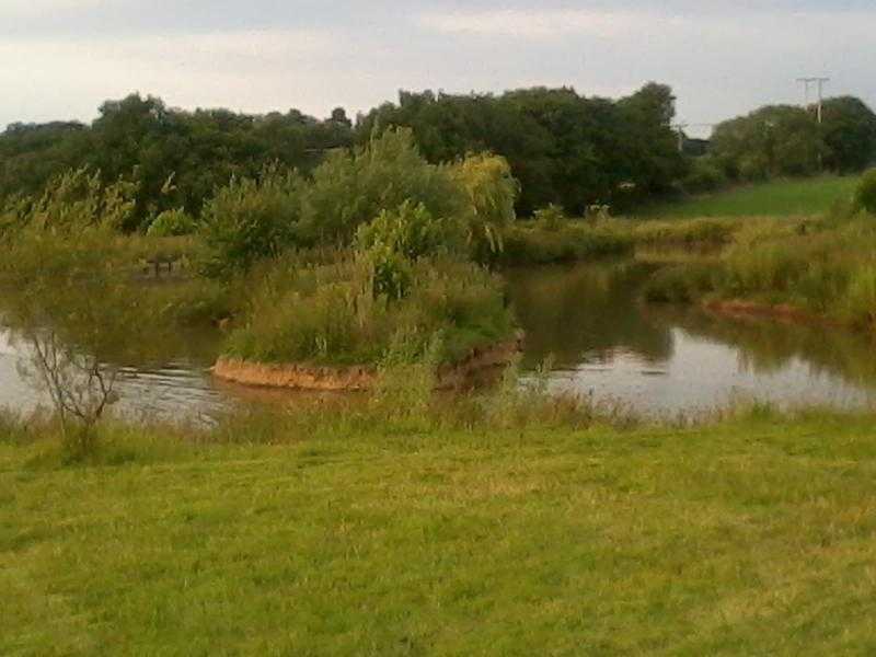 Bemersley fishing pools