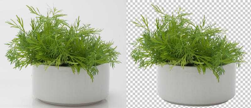 Best clipping path service provider