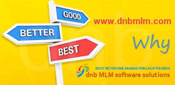 Best MLM Software developers in India