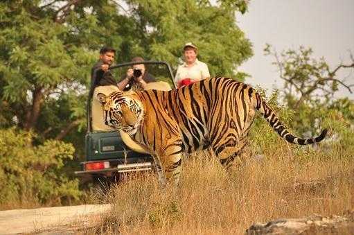 Best place for tiger sighting in india