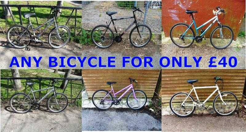 BICYCLES Mountain Bikes For Sale. Ladies amp Gents. Serviced amp Ready To Ride. Various Sizes