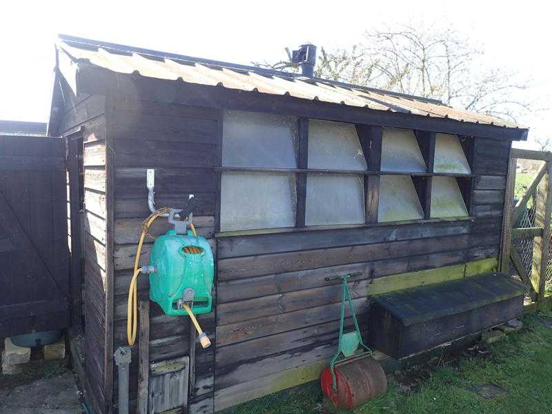 Big Chicken shedhen house coop perfect for avian flu regime