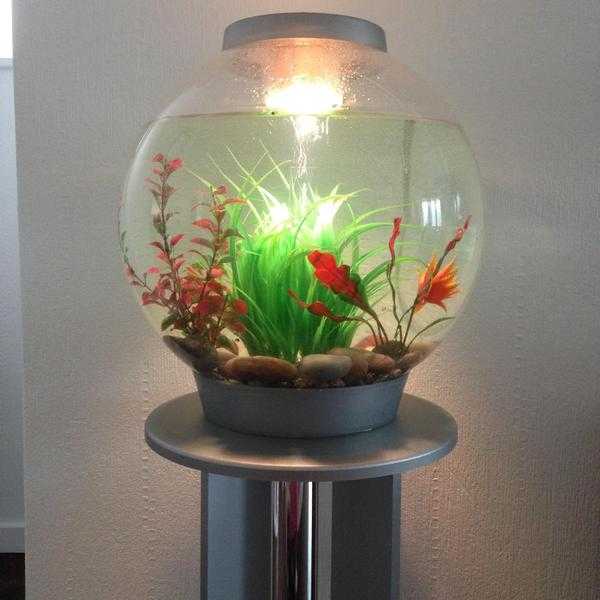 Bio Orb 30 litre tank with stand