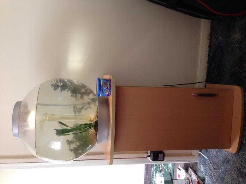 Bio orb fish tank and stand