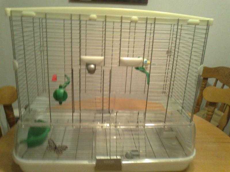 Bird cage