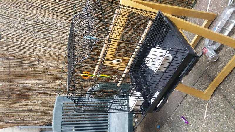 Bird cage black