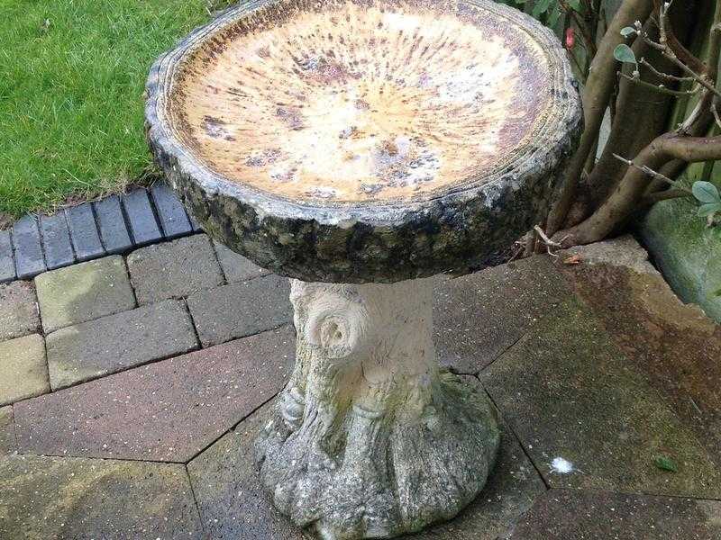 Bird Table  Bird Bath