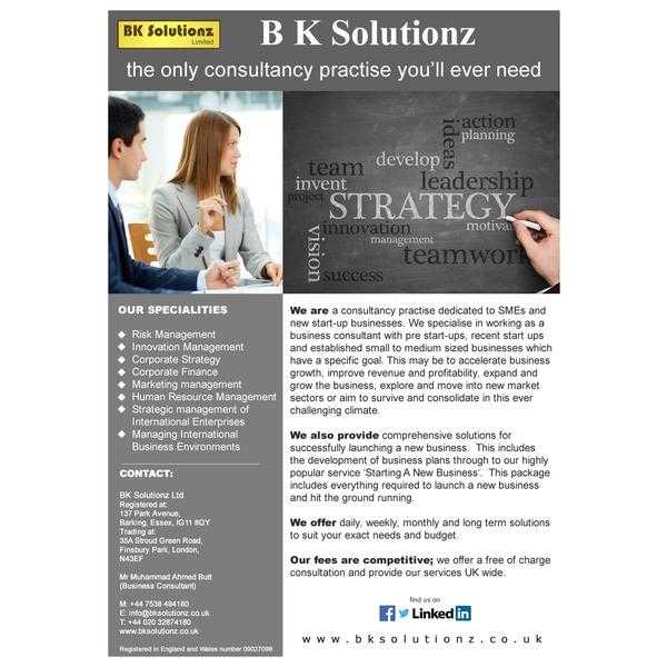 BK SOLUTIONZ Ltd Business Consulting Services