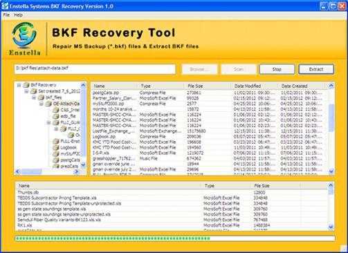 bkf recovery