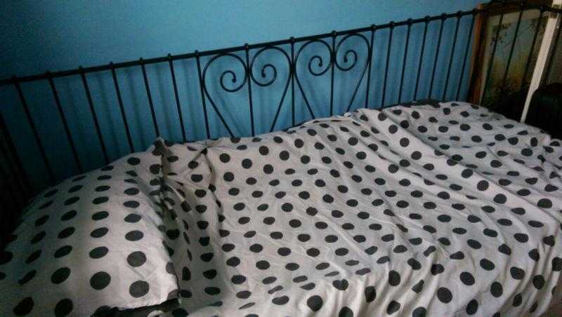 Black metal day bed, includes mattress in good condition.