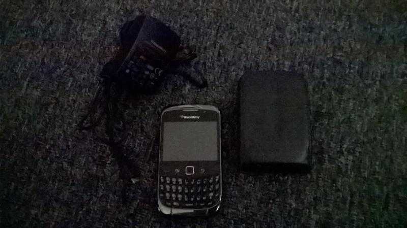 Blackberry Curve