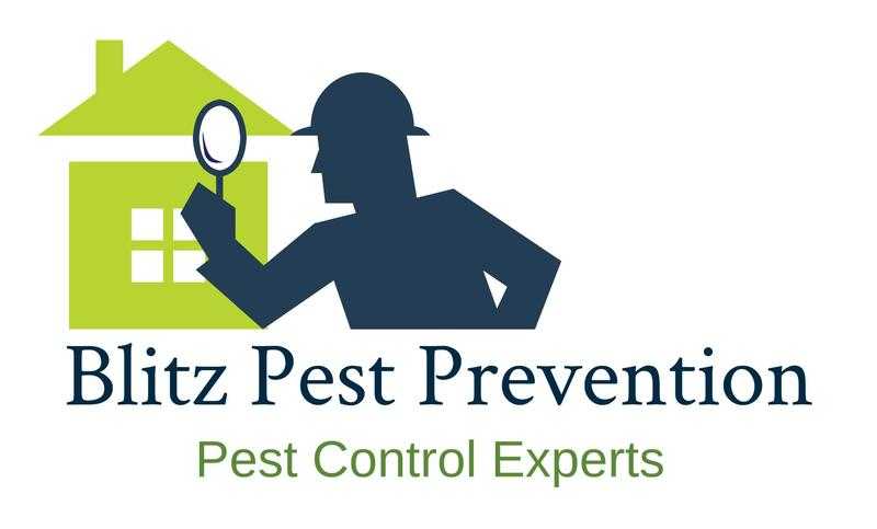 Blitz Pest Prevention The Best Choice for Exterminators in West London and surrounding areas