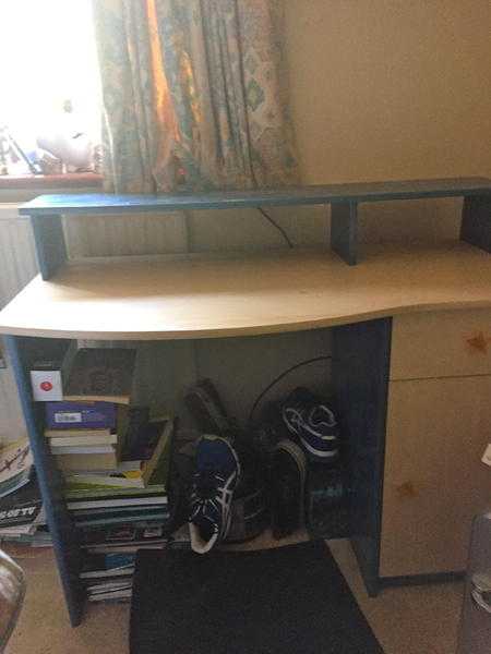 Blue and Wood Childrens Desk