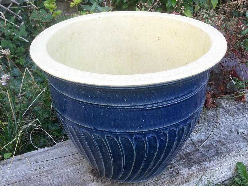 Blue garden plant pot