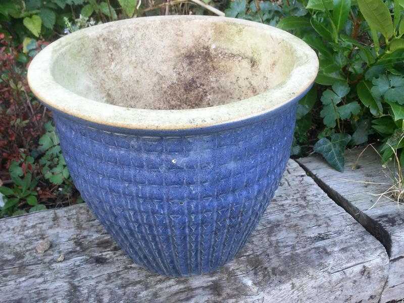 Blue garden plant pot