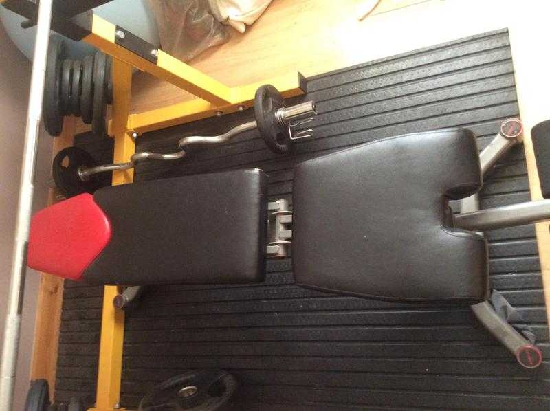 Bowflex Adjustable Weight Bench