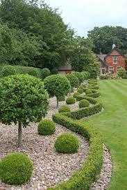 Box,  Berberis, Comis Pear, Hawthorn, Hornbeam, Copper Beech, Hazel