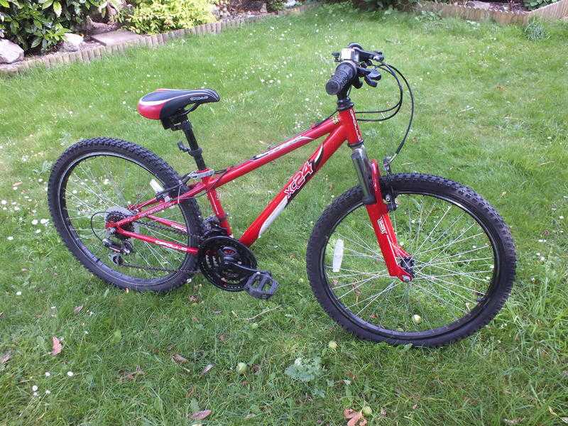 Boys Apollo XC24 Red Mountain Bike