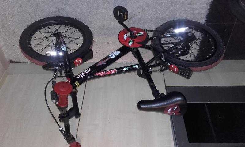 Boys bike