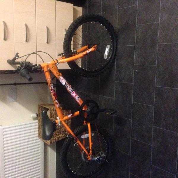 Boys bike