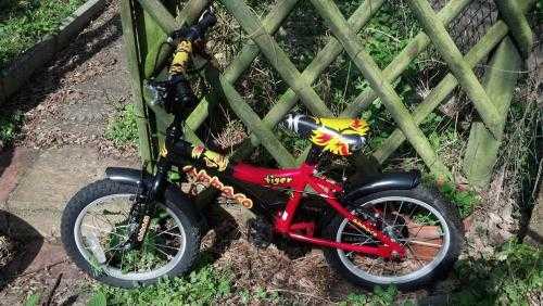 Boys Bike For Sale