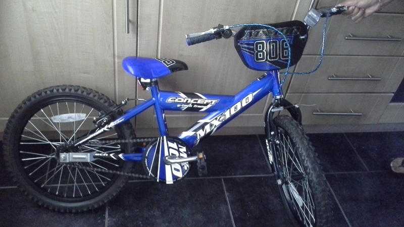 Boys blue bike
