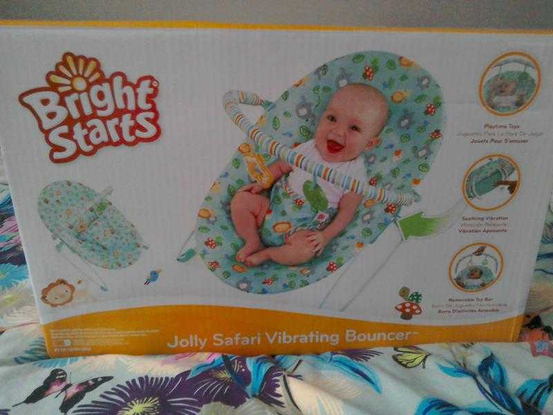 Brand New Baby Bouncer