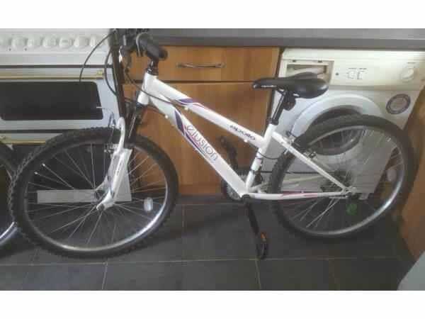 Brand new Ladies mountain bike