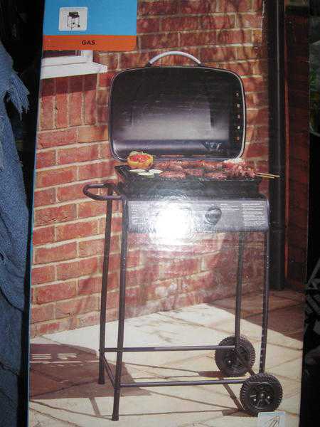 Brand New Two Burner Gas Barbecue