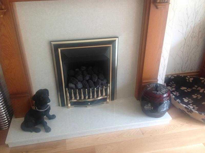 Brass Gas Fire