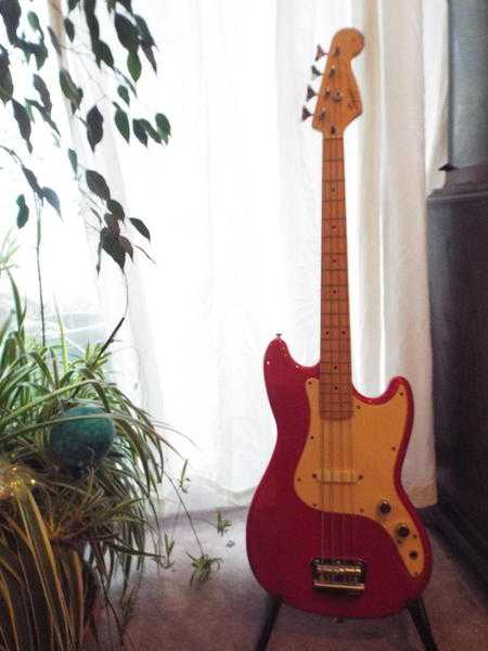 Bronco Bass Guitar, Squier, Fender