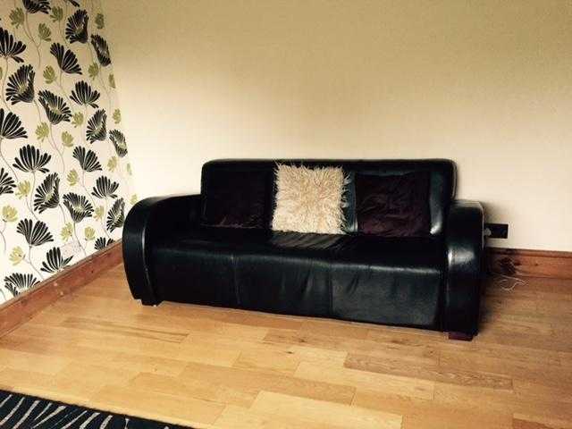 Brown Leather Sofa