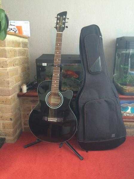 Brunswick guitar , case and stand