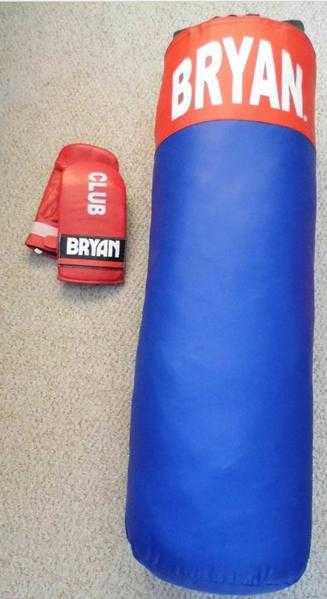 BRYAN PUNCH BAG amp GLOVES