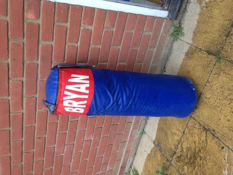 BRYAN Punch Bag and 1 glove