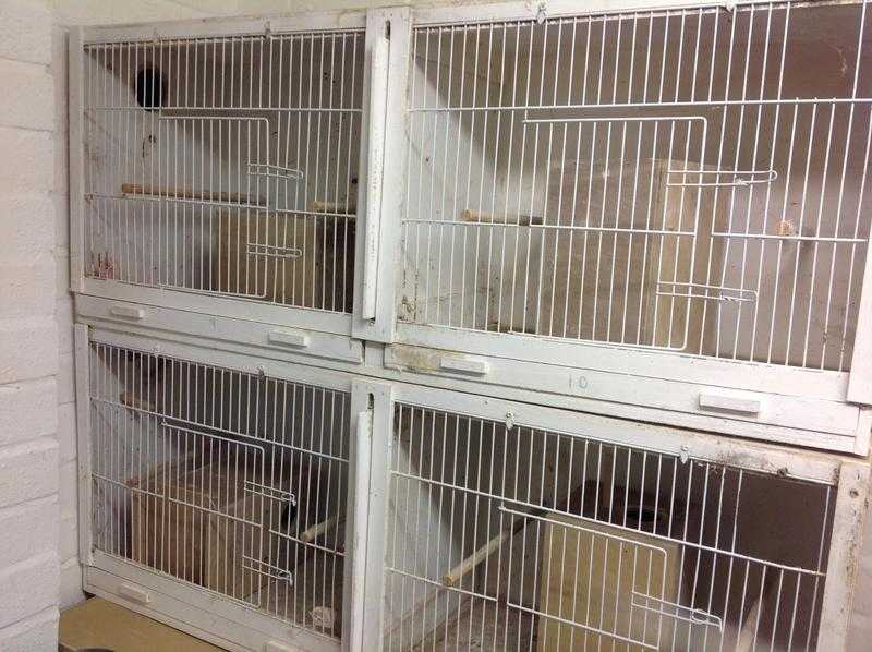 Budgie breeding cages